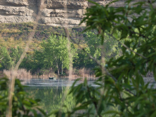 landscape, view, nature, lake, morning, water, spain, plants, fl