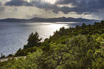 Fototapeta na wymiar Dalmatian coast near Dubrovnik, Croatia