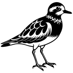turnstone silhouette vector illustration,turnstone house,Cute cartoon turnstone characters,Holiday Silhouette,Hand drawn trendy Vector illustration,svg bat face