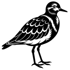 turnstone silhouette vector illustration,turnstone house,Cute cartoon turnstone characters,Holiday Silhouette,Hand drawn trendy Vector illustration,svg bat face