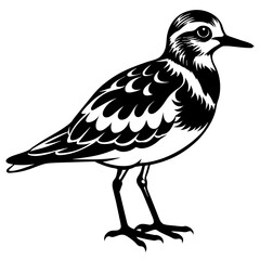 turnstone silhouette vector illustration,turnstone house,Cute cartoon turnstone characters,Holiday Silhouette,Hand drawn trendy Vector illustration,svg bat face