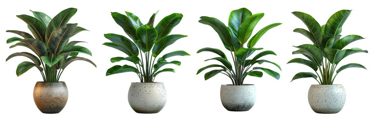 Collections of beautiful white ceramic plant pots isolated cutout objects on transparent background