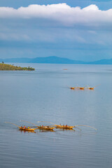 Fishing boats on Kivu lake, Karongi, Rwanda