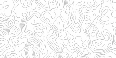 topographic contours map background with geometric lines, Geographic mountain contours vector abstract background,  Blank Detailed Topographic Contour Map.