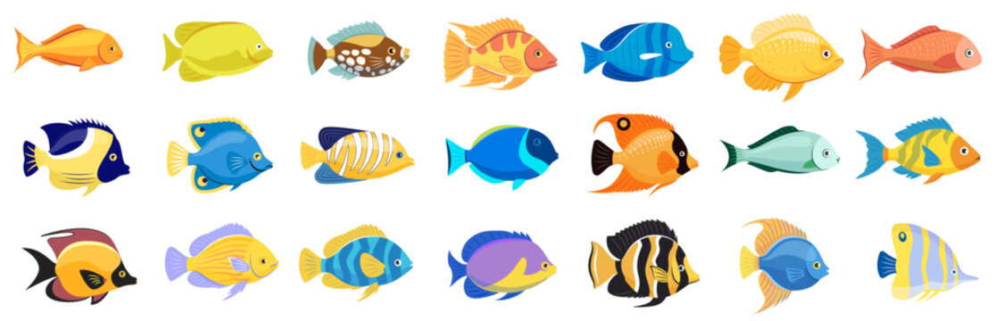 Tropical fish vector cartoon icon