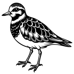 turnstone silhouette vector illustration,turnstone house,Cute cartoon turnstone characters,Holiday Silhouette,Hand drawn trendy Vector illustration,svg bat face