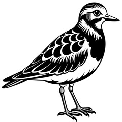 turnstone silhouette vector illustration,turnstone house,Cute cartoon turnstone characters,Holiday Silhouette,Hand drawn trendy Vector illustration,svg bat face
