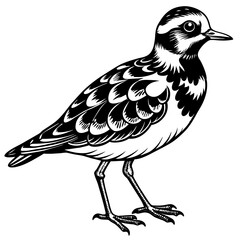 turnstone silhouette vector illustration,turnstone house,Cute cartoon turnstone characters,Holiday Silhouette,Hand drawn trendy Vector illustration,svg bat face