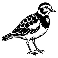 turnstone silhouette vector illustration,turnstone house,Cute cartoon turnstone characters,Holiday Silhouette,Hand drawn trendy Vector illustration,svg bat face