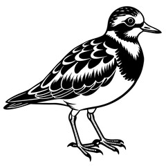 turnstone silhouette vector illustration,turnstone house,Cute cartoon turnstone characters,Holiday Silhouette,Hand drawn trendy Vector illustration,svg bat face