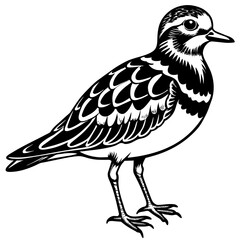 Fototapeta premium turnstone silhouette vector illustration,turnstone house,Cute cartoon turnstone characters,Holiday Silhouette,Hand drawn trendy Vector illustration,svg bat face