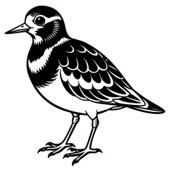 turnstone silhouette vector illustration,turnstone house,Cute cartoon turnstone characters,Holiday Silhouette,Hand drawn trendy Vector illustration,svg bat face