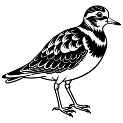 turnstone silhouette vector illustration,turnstone house,Cute cartoon turnstone characters,Holiday Silhouette,Hand drawn trendy Vector illustration,svg bat face