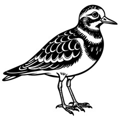 Fototapeta premium turnstone silhouette vector illustration,turnstone house,Cute cartoon turnstone characters,Holiday Silhouette,Hand drawn trendy Vector illustration,svg bat face