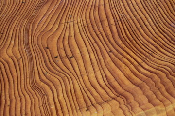texture of wood