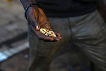 Man holding fresh peanuts in Toubacouta, Senegal