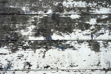 Fototapeta premium old grey wood plank texture background