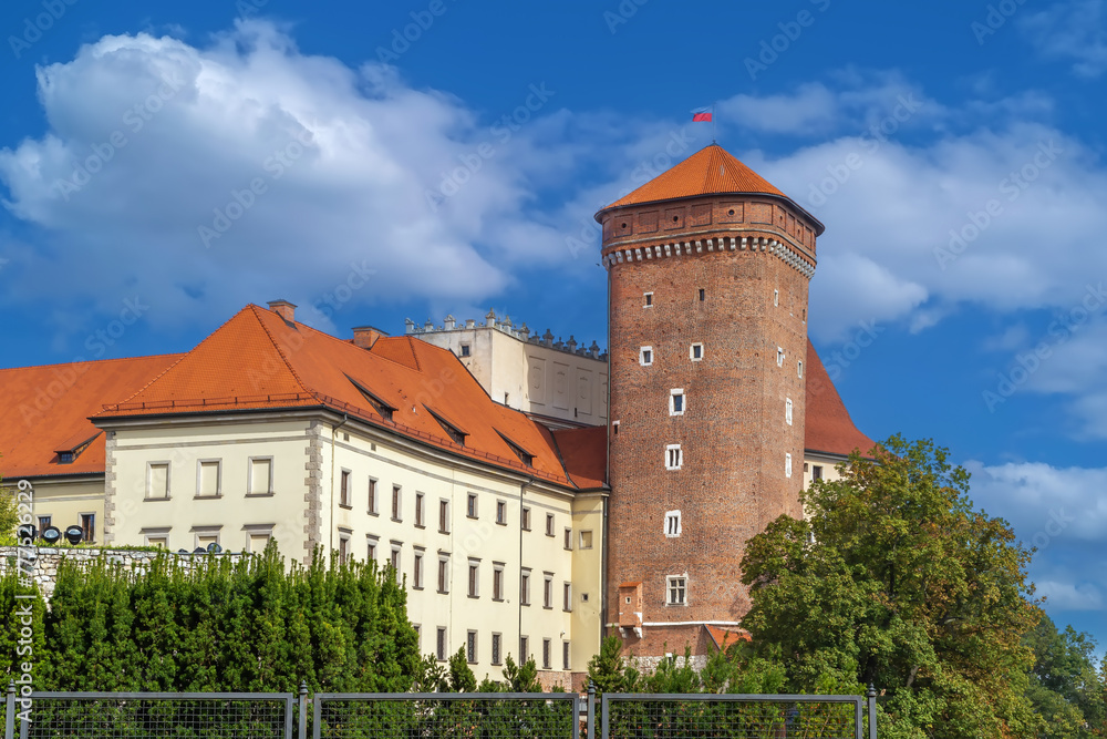 Poster senatorial tower, krakow, poland