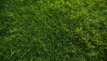 Photo sur Aluminium Herbe Green grass texture background, Top view of grass garden ideal concept used for making green flooring, lawn for training football pitch, Grass Golf Courses green lawn pattern texture