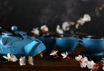 tea ceremony green tea with sakura branches