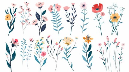 Flowers, foliage, plants, blossom, leaves and herbs. Set of leaf, foliage wildflowers, plants, bloom, leaves and herbs. Hand-drawn of blossom spring season moderns for decor, website, graphic, and