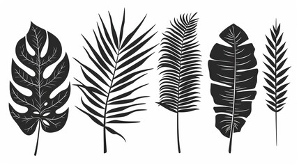 An illustration of a set of monochrome jungle exotic leaves, comprising Philodendron, Palm leaves, Areca palm leaves, Royal fern, and banana leaves isolated on a white background. - obrazy, fototapety, plakaty