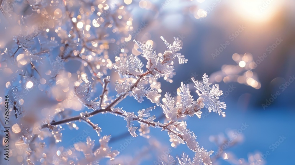 Poster a branch covered in snow and ice. the branch is covered in snow and ice, and the sun is shining on i
