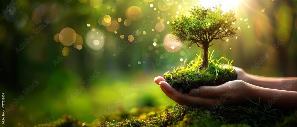 Poster an earth day image of a woman holding a young tree on a field of green grass with bokeh background. 