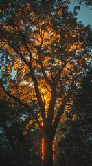 Tall and leafy a tree becomes a beacon of fire its greenery alight with the warmth and vibrance of flames