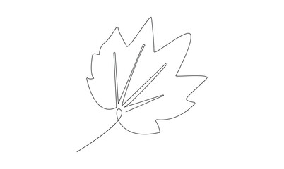 Vector continuous one simple single abstract line drawing of leaf isolated on a white background