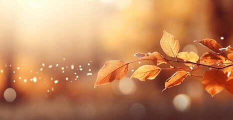 Abstract natural wallpaper of yellow leaves and tree branches in autumn or fall season on a blurred forest background with warm sunshine and glare lights. Generative AI. - obrazy, fototapety, plakaty
