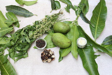 Ugadi telugu new year andhrula pachadi