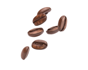 Falling roasted coffee beans isolated on transparent background