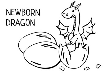 Obraz premium dragon newborn hatched from an egg. baby dragon isolated on white for children's illustrations, T-shirt, poster in children's room, funny baby character, Stickers, greeting card, coloring page