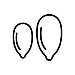 Pumpkin seed icon