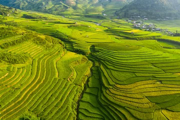 Cercles muraux Mu Cang Chai Aerial top view of paddy rice terraces, green agricultural fields in countryside or rural area of Mu Cang Chai, Yen Bai, mountain hills valley at sunset in Asia, Vietnam. Nature landscape background.
