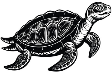 Fototapeta premium Archelon prehistoric animal black and white vector