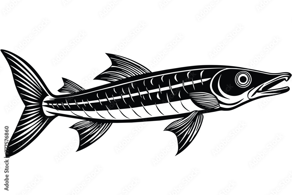 Wall mural barracuda black and white vector