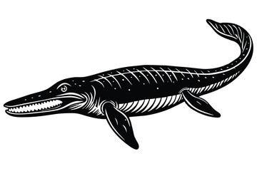 basilosaurus black and white vector