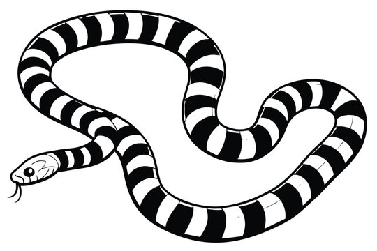 banded sea krait black and white vector