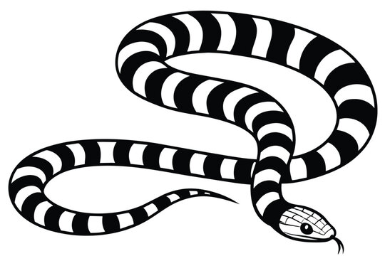 banded sea krait black and white vector