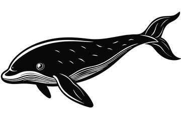 black and white beluga whale vector