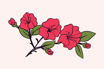 Fototapeta premium Bougainvillea flower vector