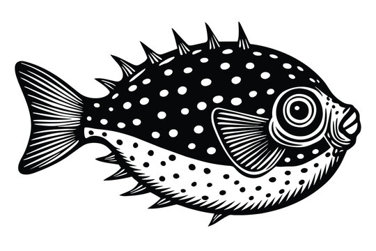 recommend clip art: black and white boxfish vector