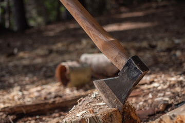 axe embedded in stump