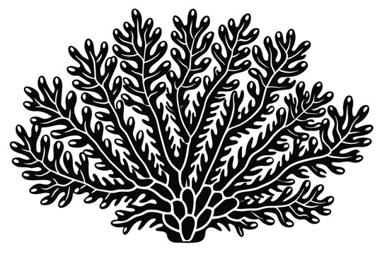 hydrocoral vector