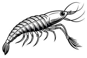 krill vector