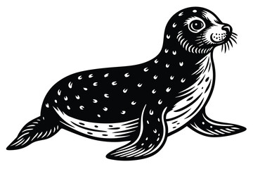 Fototapeta premium seal aquatic animal vector