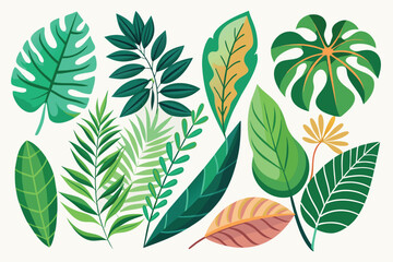 vector set of different tropical leaves on isolated background