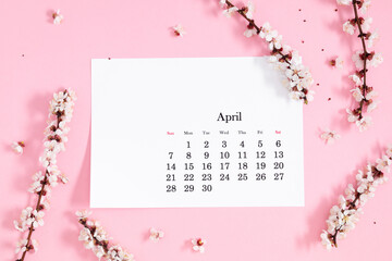 Flat lay, top view of paper desk calendar for April 2024, blooming tree branches with white flowers...